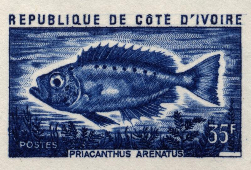 Ivory_Coast_1973_Yvert_356-Scott_347_blue_aa_detail
