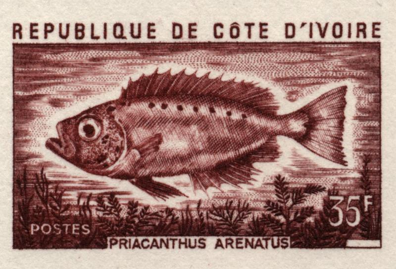 Ivory_Coast_1973_Yvert_356-Scott_347_brown-lilac_detail