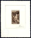 Mauritania_1963_Yvert_PA36-Scott_C31_dark-brown_c