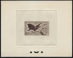Central_Africa_1960_Yvert_PA2-Scott_C2_sepia_a