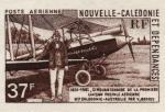 N_Caledonia_1981_Yvert_PA219-Scott_C179_dark-brown_b_detail