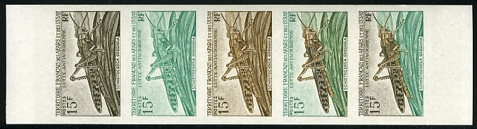 Afars_1969_Yvert_351-Scott_334_five