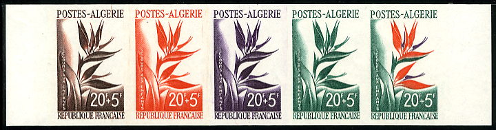 Algeria_1958_Yvert_351-Scott_B95_five_c
