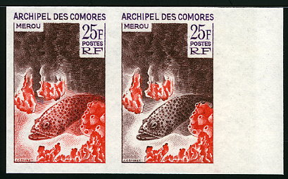 Comores_1965_Yvert_38-Scott_66_pair_b