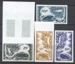 Congo_1964_Yvert_PA21-24-Scott_C20-23_different_colors