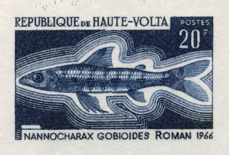 Upper_Volta_1969_Yvert_198-Scott_196_dark-blue_detail_a