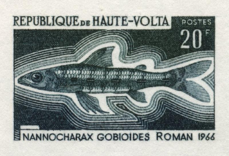 Upper_Volta_1969_Yvert_198-Scott_196_dark-green-grey_detail