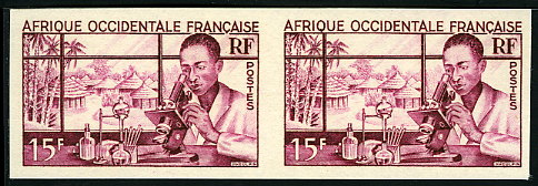 Fr_West_Africa_1953_Yvert_48-Scott_59_pair_a