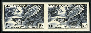 Madagascar_1954_Yvert_323-Scott_288_pair_c