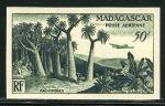Madagascar_1954_Yvert_PA75-Scott_C58_dark-green