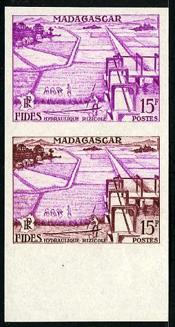 Madagascar_1956_Yvert_330-Scott_295_pair_a