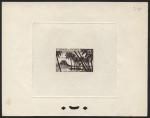 Polinesia_Oceanie_1955_Yvert_PA32a-Scott_C23_unadopted_small-size_palms_sepia_a_ATP