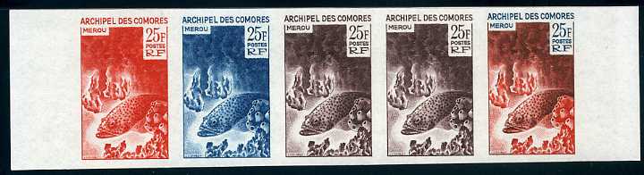 Comores_1965_Yvert_38-Scott_66_five_g