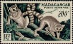 Madagascar_1954_Yvert_PA77-Scott_C60_200f_lemuriens_IS