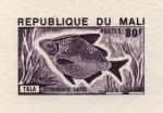Study about Mali 1975 fish c Artist Proofs