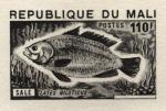 Study about Mali 1975 fish e Artist Proofs