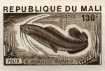 Study about Mali 1976 fish c Artist Proofs