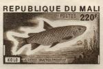 Study about Mali 1976 fish e Artist Proofs