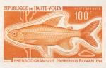 Study about Upper Volta 1969 fish a Artist Proofs