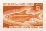 Study about Upper Volta 1969 fish g Artist Proofs