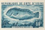 Study about Ivory Coast 1973 fish a Artist Proofs