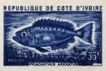 Study about Ivory Coast 1973 fish d Artist Proofs