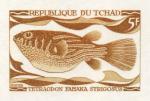 Study about Chad 1969 fish c Artist Proofs