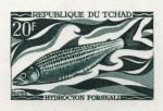 Study about Chad 1969 fish d Artist Proofs