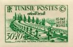 Tunisia_1951_Yvert_351-Scott_B116_green_1324_Lx_detail