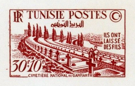 Tunisia_1951_Yvert_351-Scott_B116_red_1417_Lx_detail
