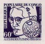Congo_1975_Yvert_405-Scott_357_deep-violet_detail