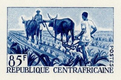 Central_Africa_1965_Yvert_45-Scott_43_blue_ab_detail