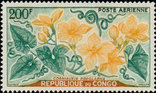 Congo_1961_Yvert_PA3-Scott_C3