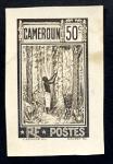 Cameroun_1925_Yvert_119-Scott_dark-brown_typo
