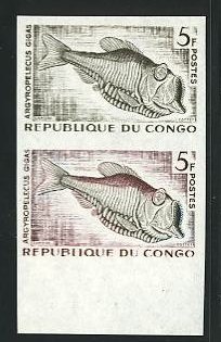 Congo_1961_Yvert_146-Scott_100_pair